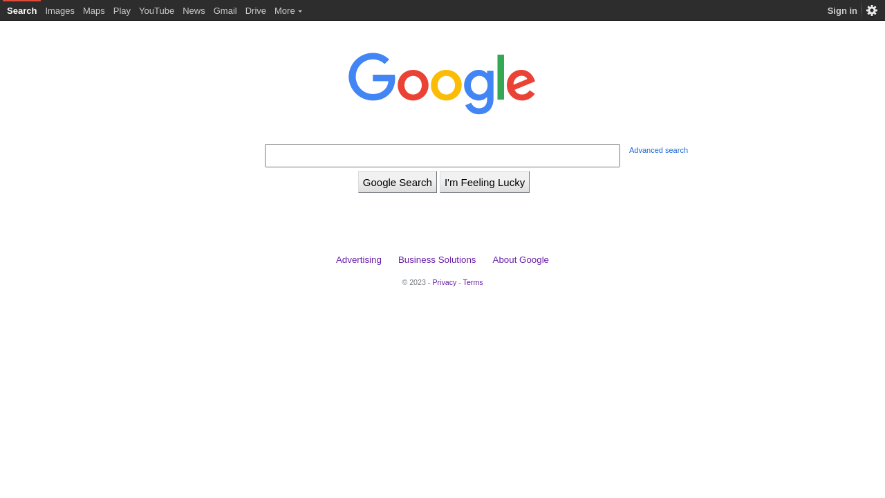 Google website